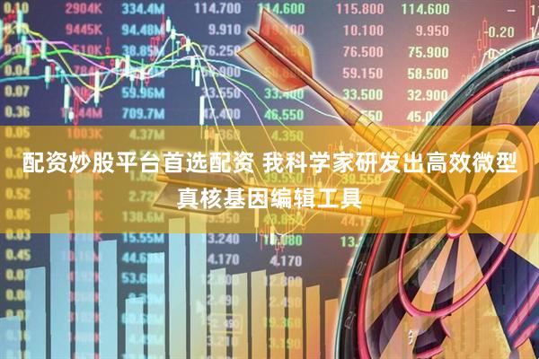 配资炒股平台首选配资 我科学家研发出高效微型真核基因编辑工具