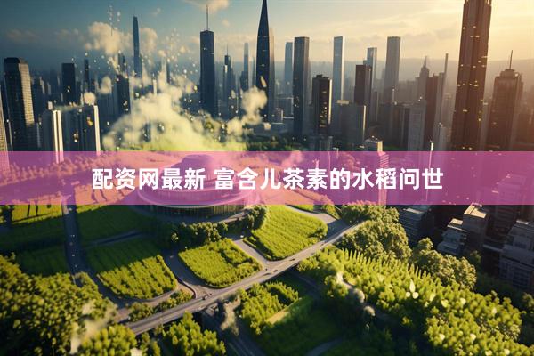 配资网最新 富含儿茶素的水稻问世